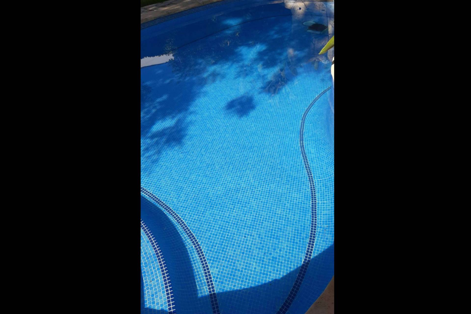 PoolTiger, innovación sostenible para reducir cloro en el mantenimiento de piscinas