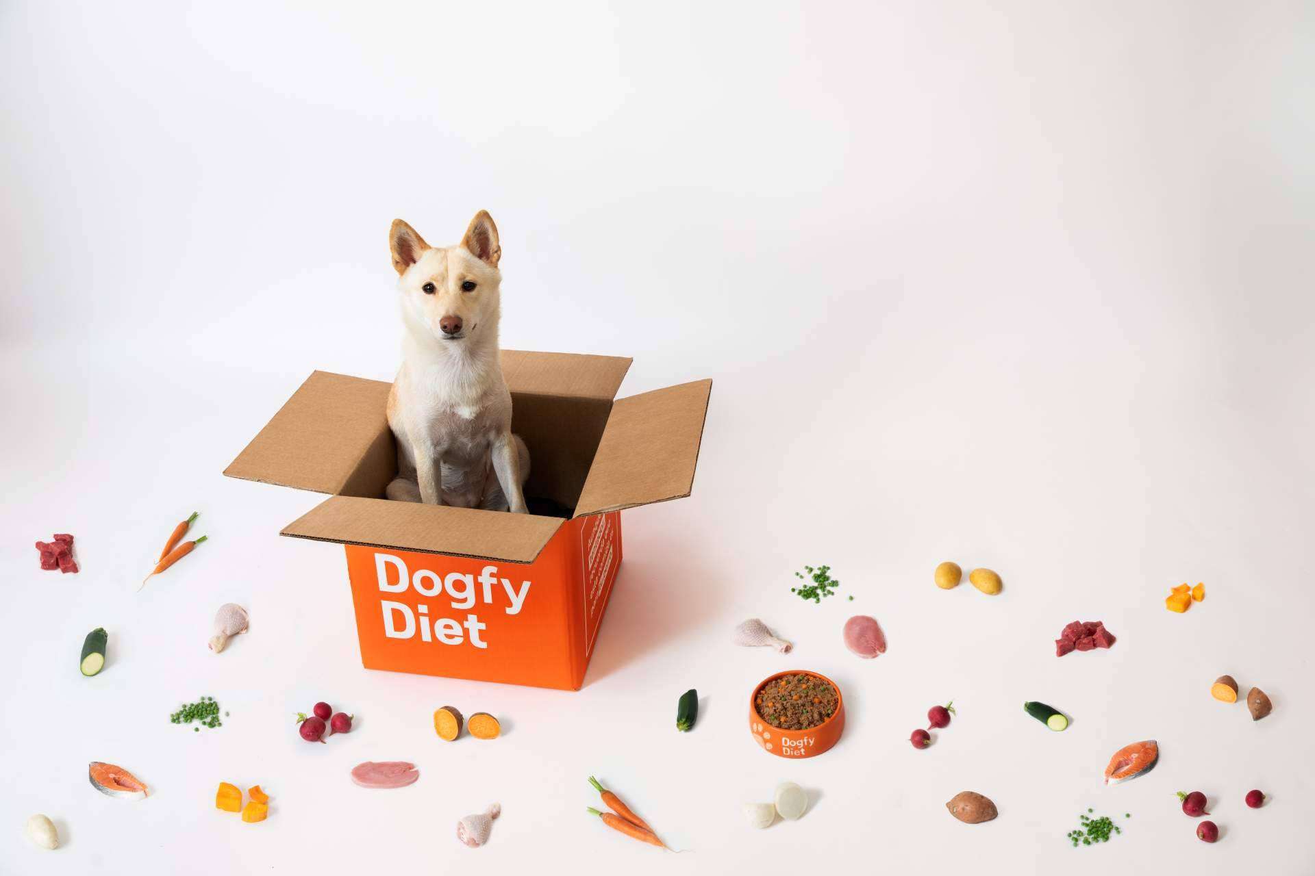 La comida natural para perros se consolida con la propuesta innovadora de Dogfy Diet