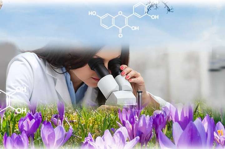 Aora Health transforma la industria nutracéutica con su innovadora patente Cap in Cap