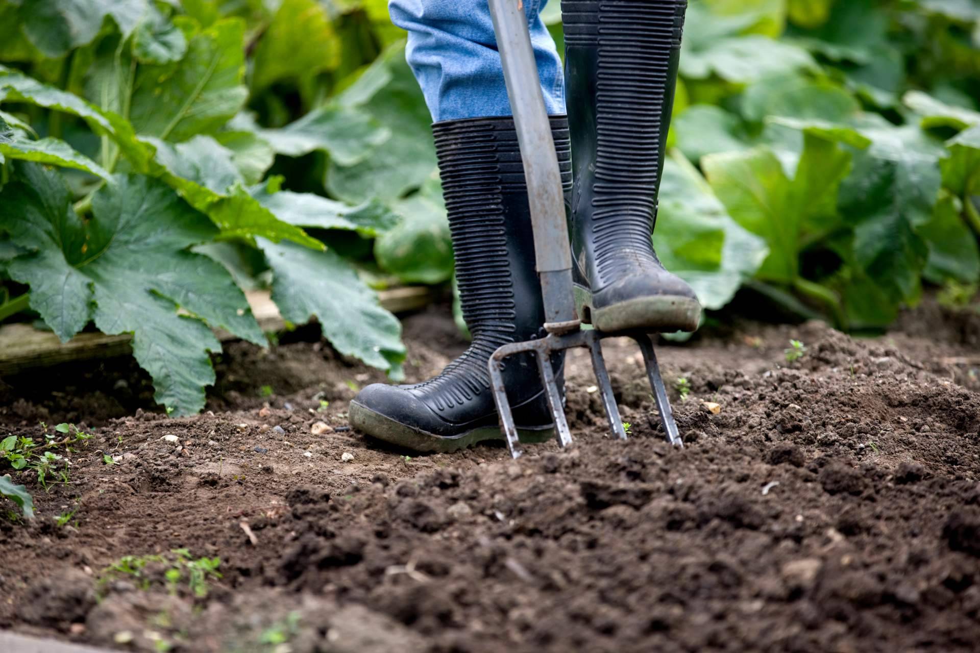 Paquete Omnibus, una oportunidad para avanzar en sostenibilidad empresarial con el acompañamiento de Ingade