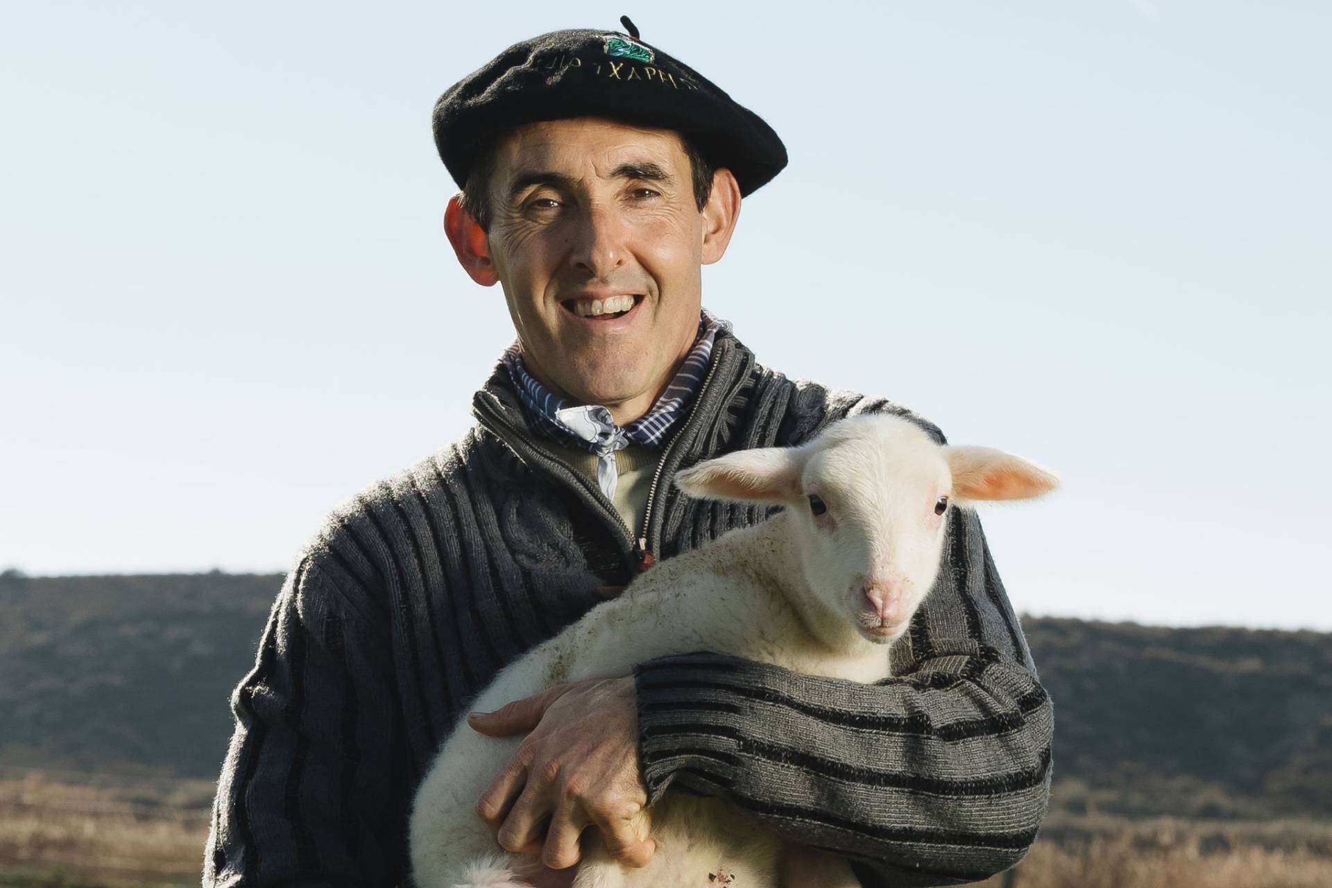 Los quesos de Navarra que hay que conocer; la propuesta de Kamiku