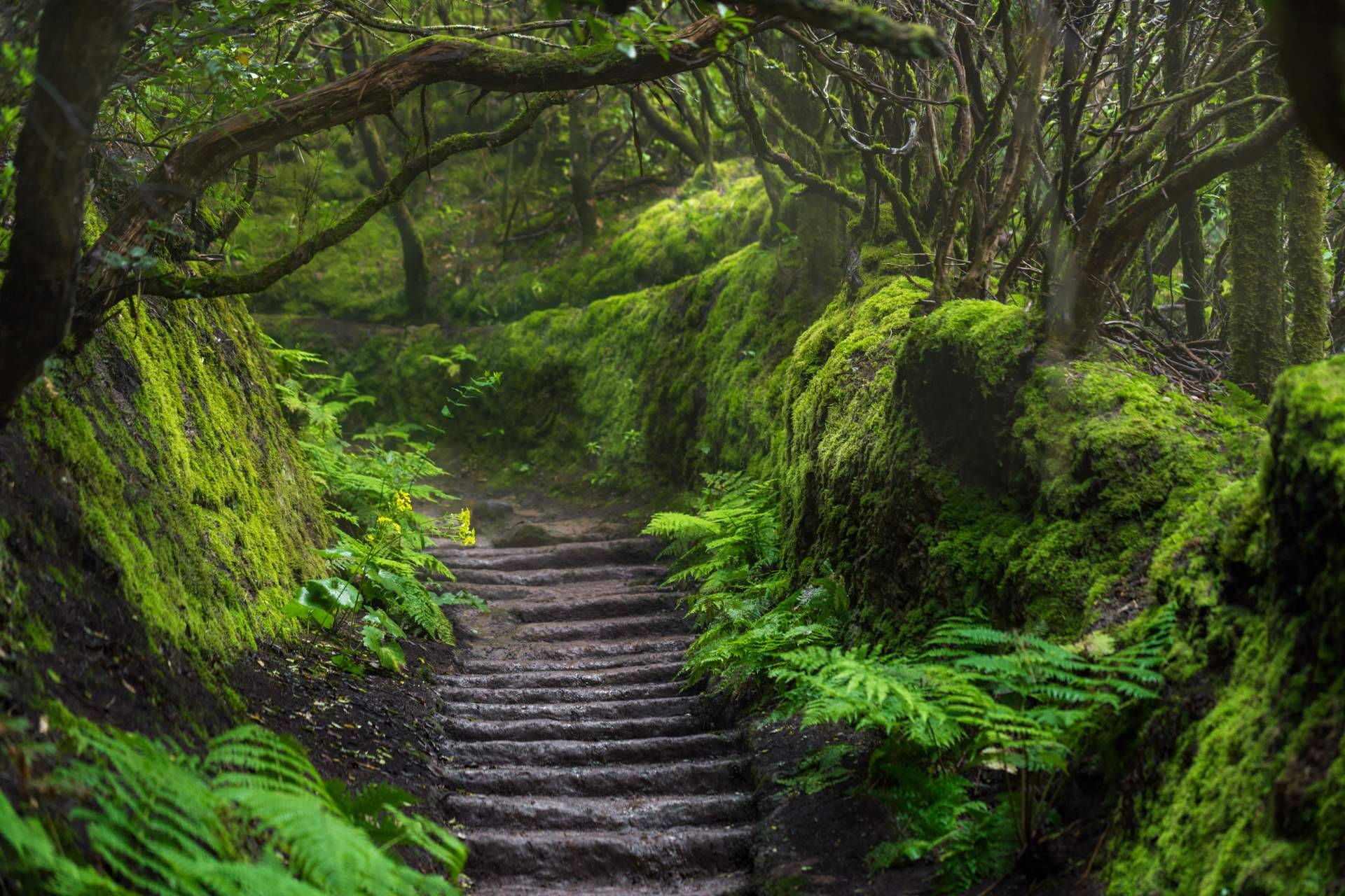 Canarias.com amplía su propuesta de excursiones Tenerife con experiencias adaptadas a todos los perfiles