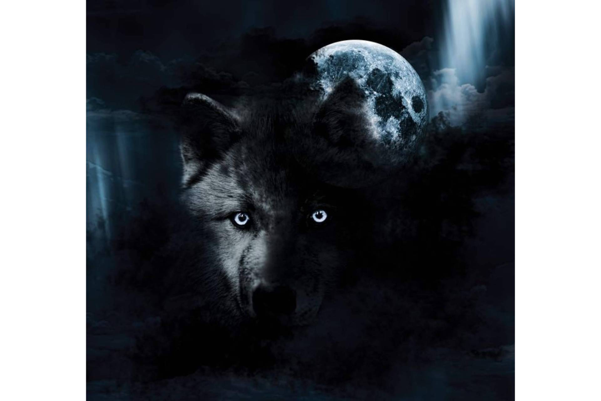 Naturaleza y terror se cruzan en las historias de lobos escritas por Diego de Membiela
