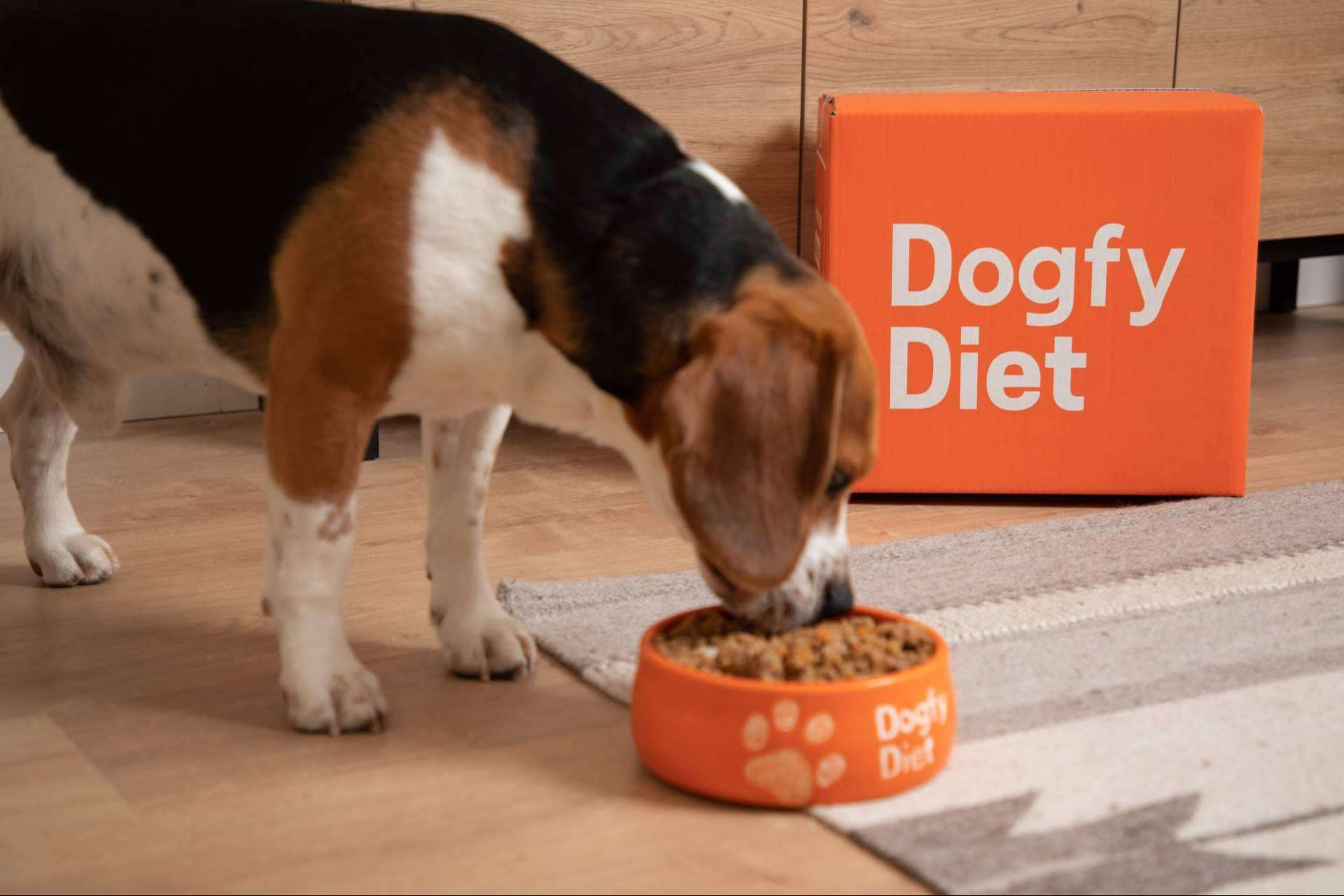 Dogfy Diet desarrolla planes con comida natural para abordar la obesidad en perros y mejorar su calidad de vida
