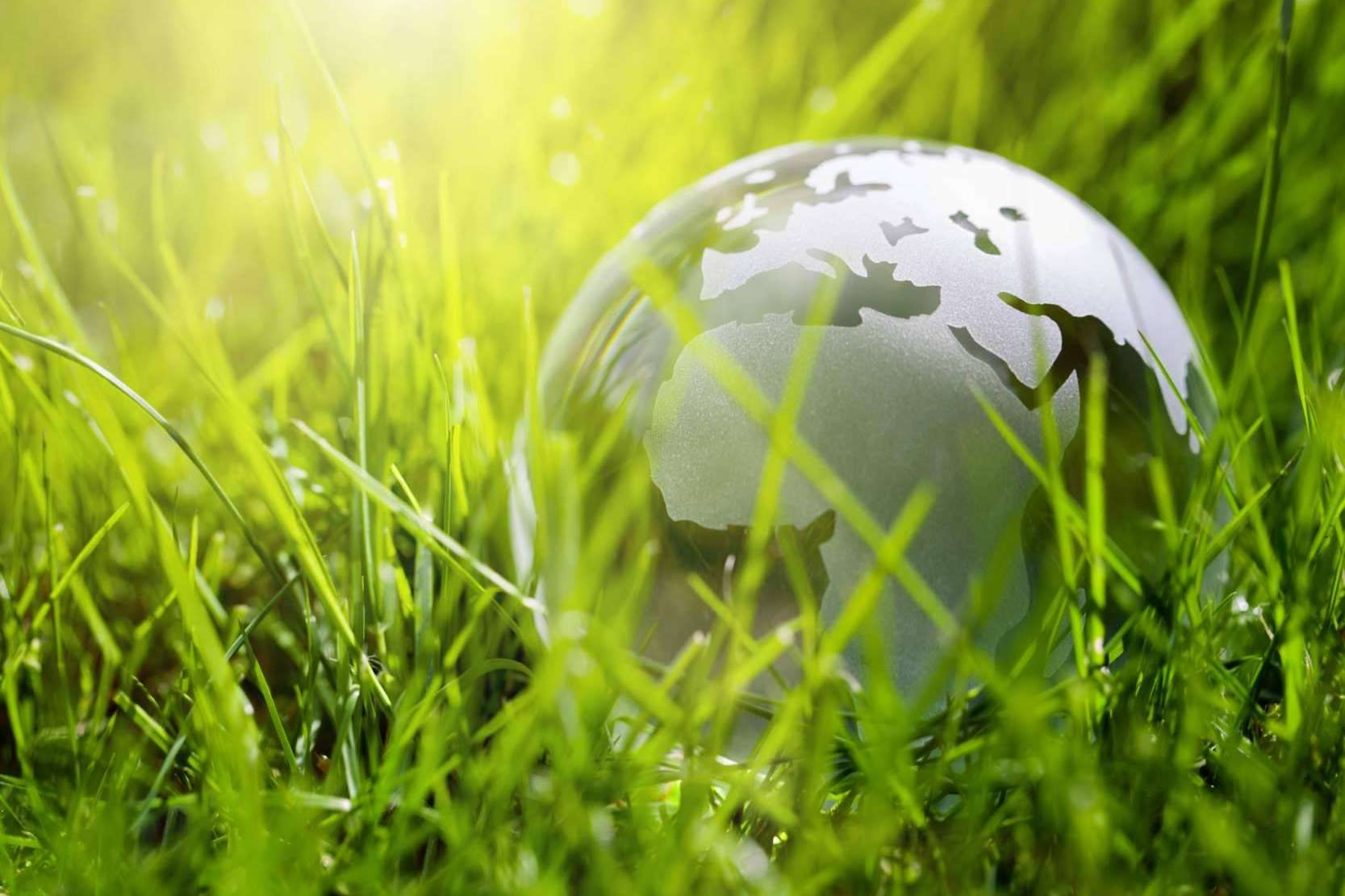 ECOticias.com suma millones de lectores mensuales con contenidos medioambientales en castellano e inglés