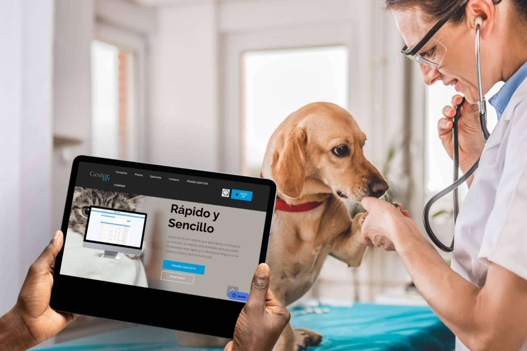 GestorVet; el software idóneo para cumplir la nueva normativa de gestión veterinaria en España