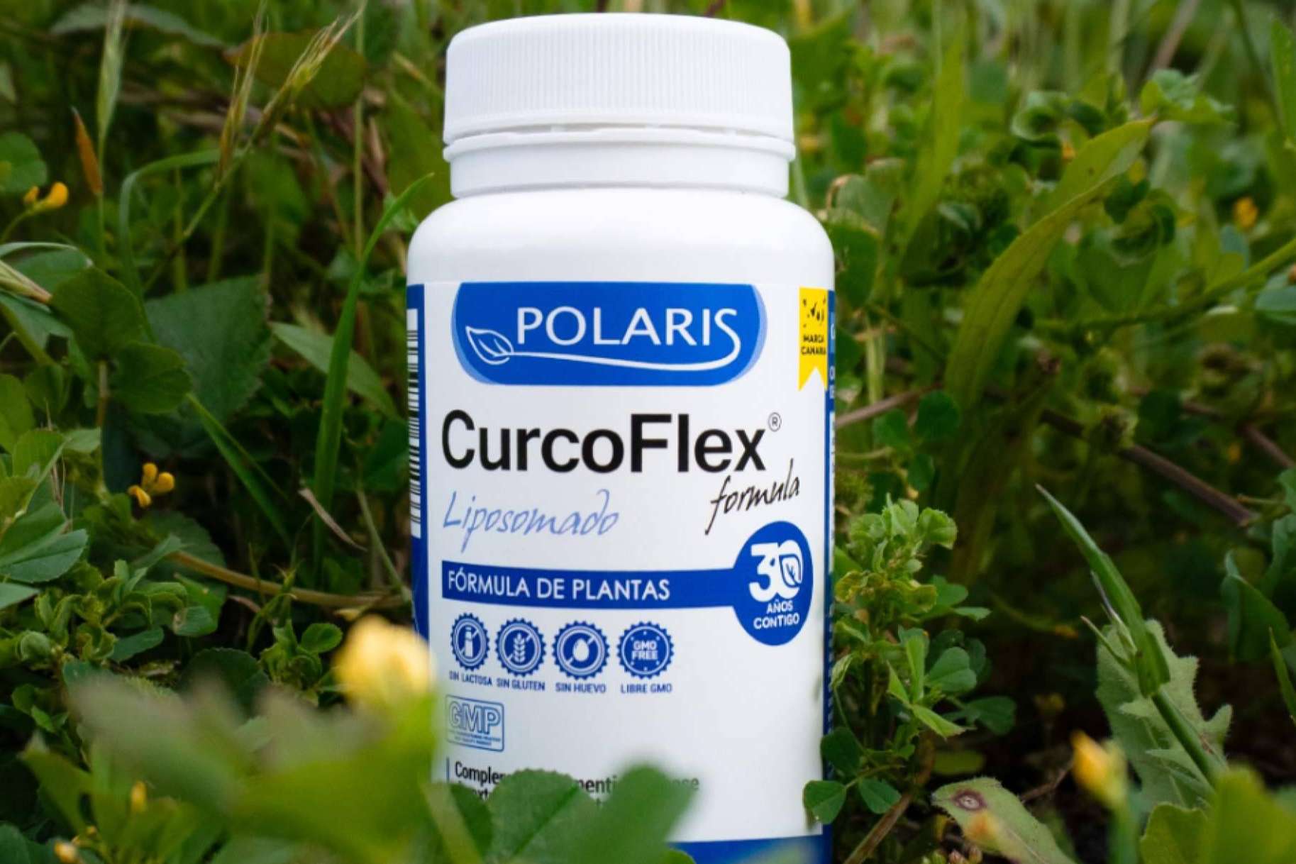 Polaris Formula lanza Curcoflex Liposomado, innovación clave para la salud articular
