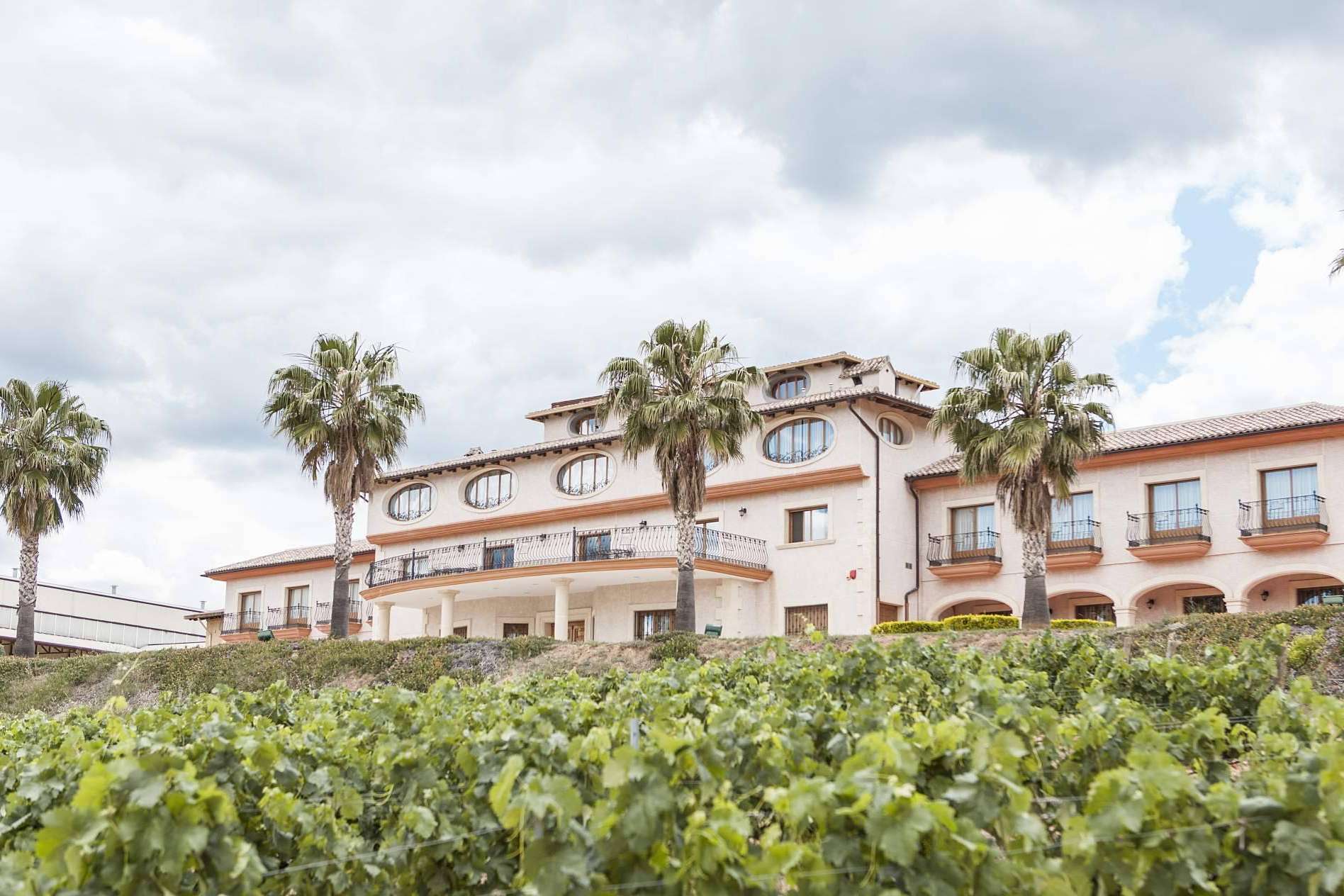 Vegamar fusiona tradición y modernidad en vinos gourmet del Alto Turia