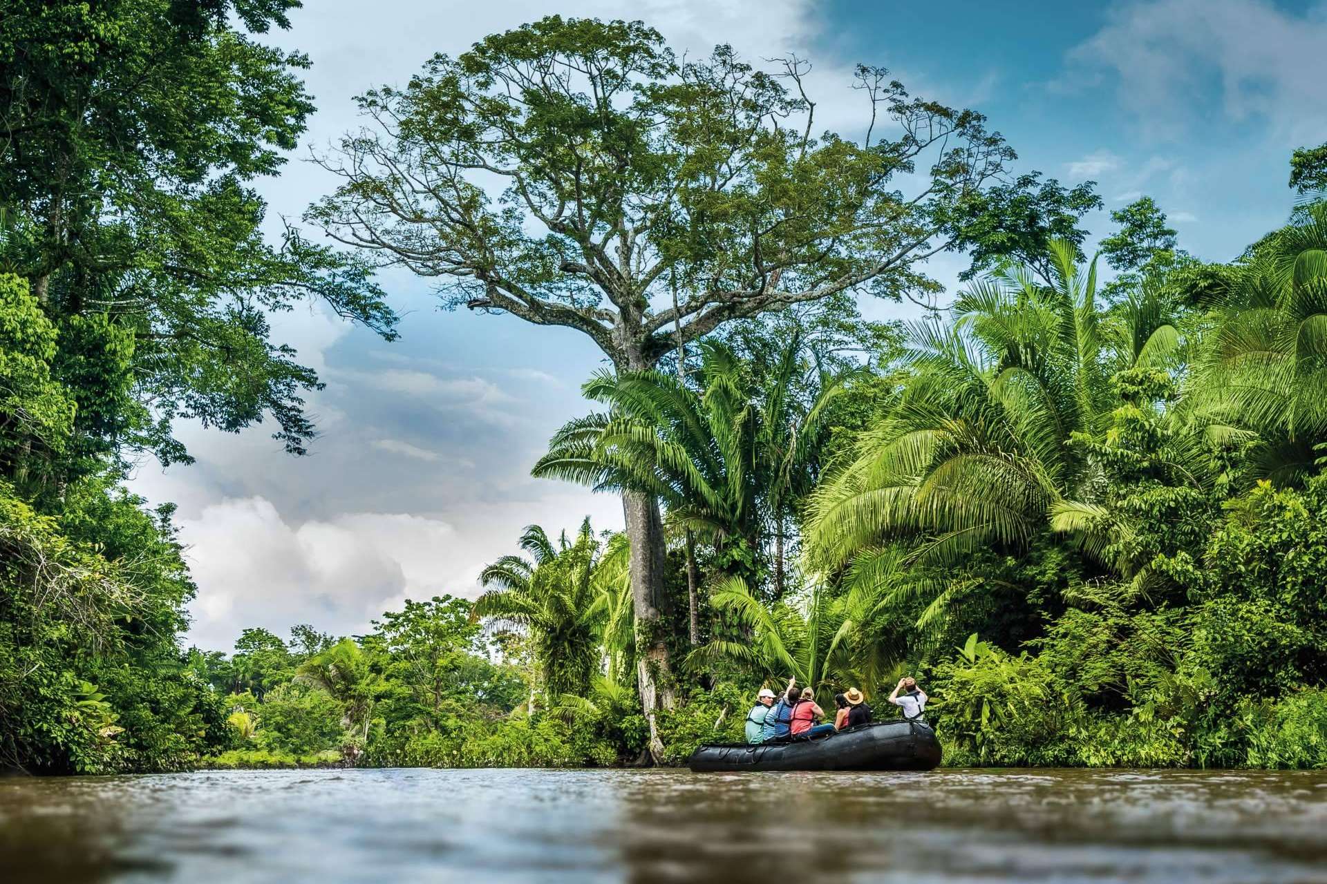 Hapag-Lloyd Cruises; Grandes viajes de expedición por el Amazonas y la Antártida