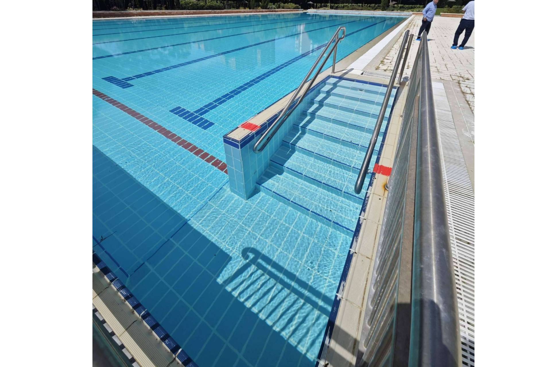 Piscinas más limpias y saludables con la purificación natural de agua de POOL TIGER EUROPE