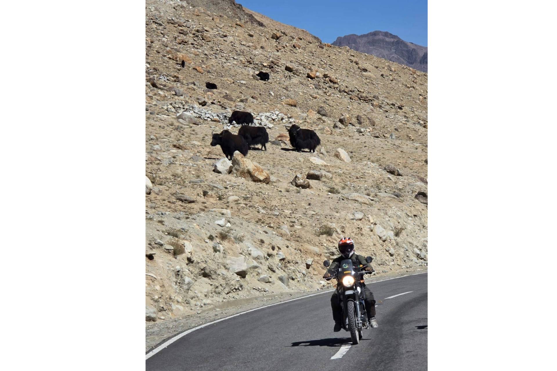 Himalaya en moto; travesía por las alturas de Leh y Ladakh
