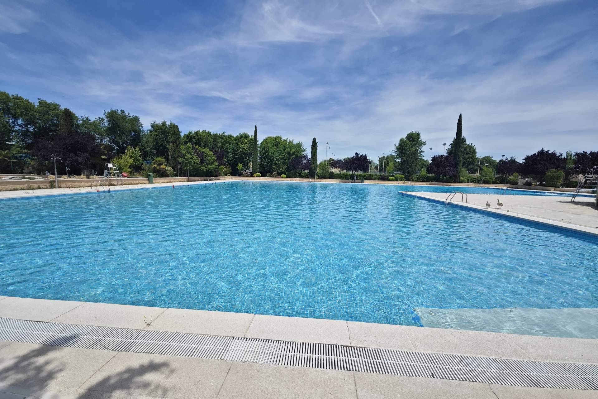 Pool Tiger Europe aporta eficiencia y sostenibilidad a las piscinas públicas