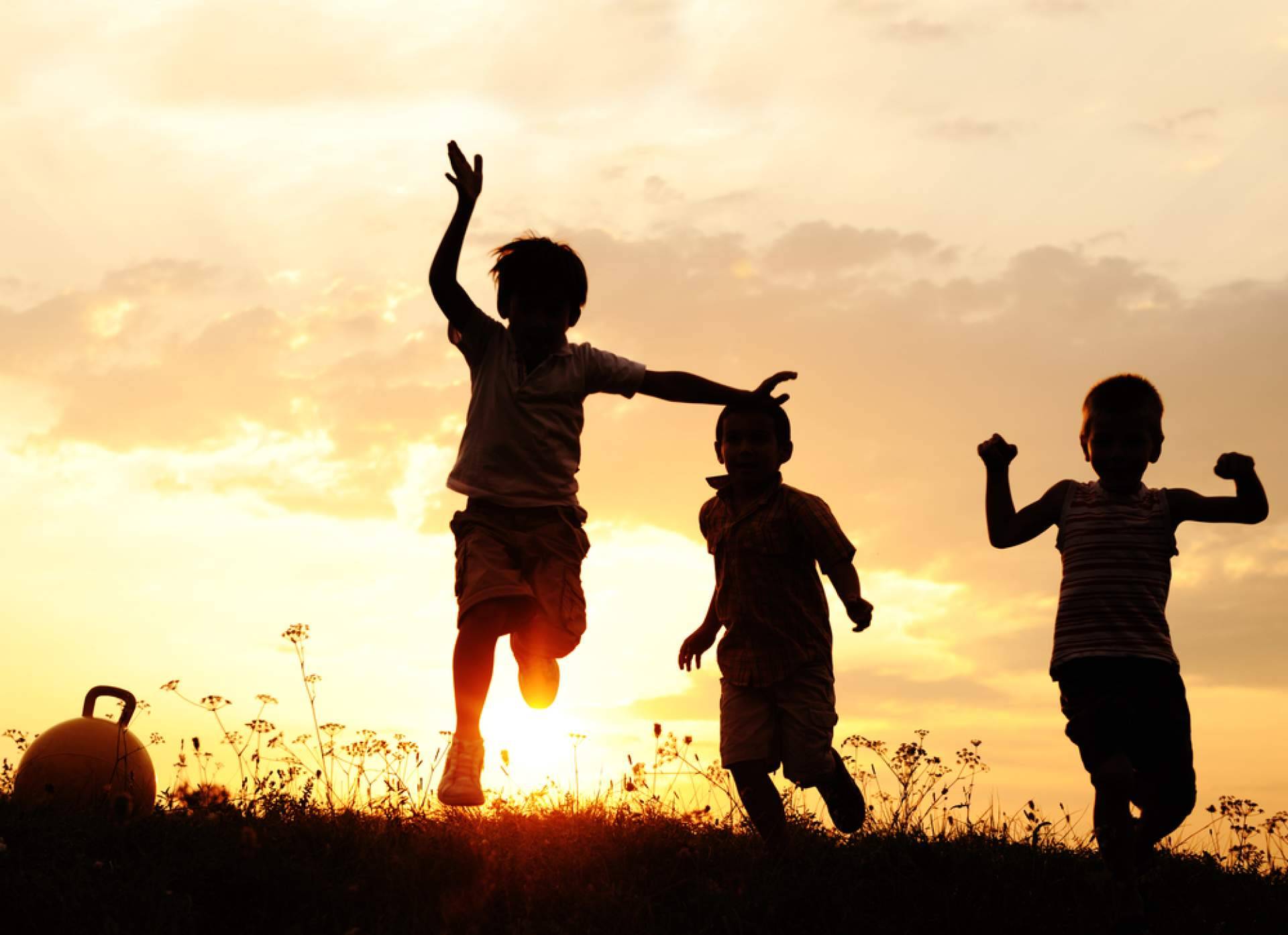 Editorial Sentir publica 'Emociones familiares', un manual esencial para fortalecer la salud emocional familiar