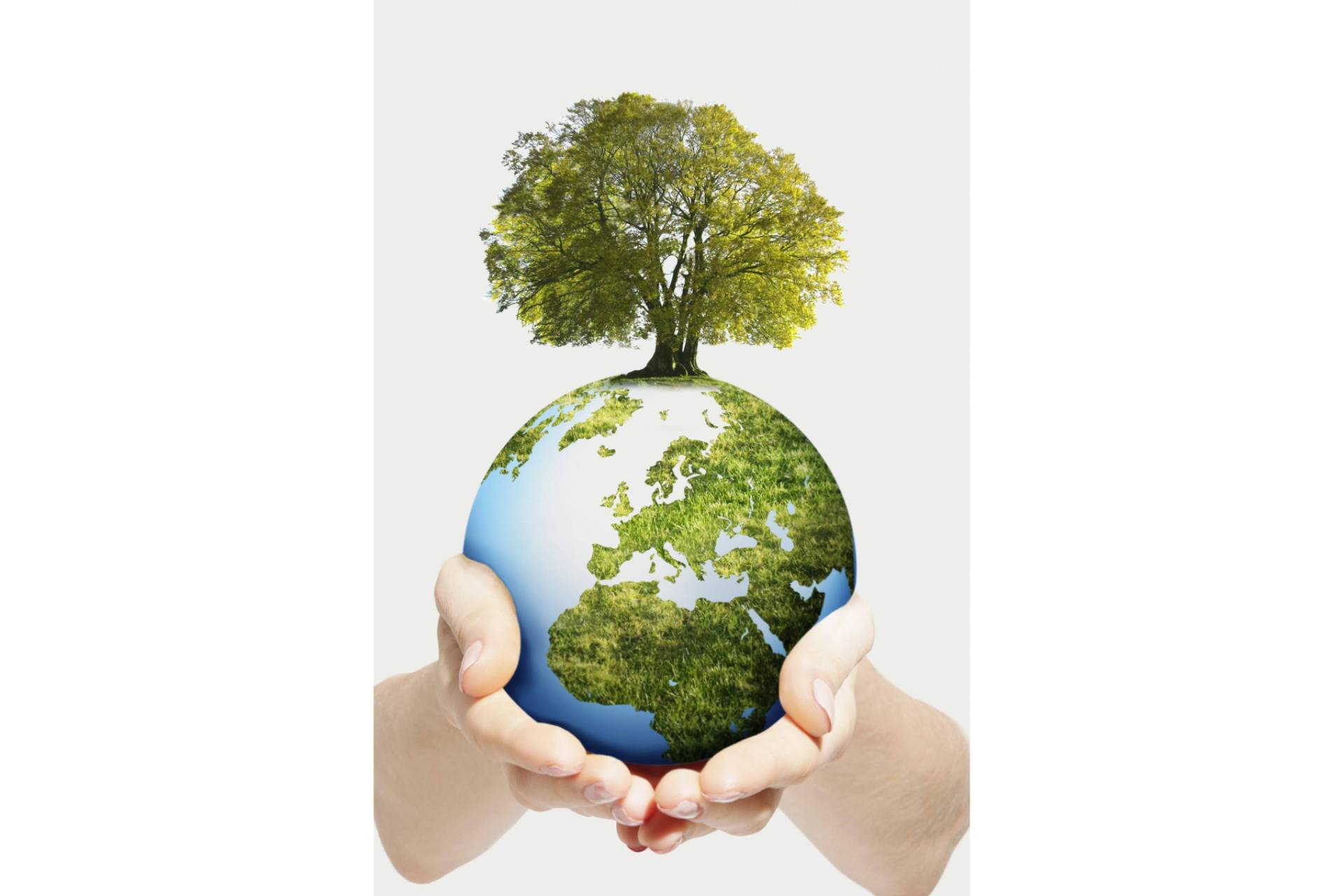 Herramienta digital de ISOTools anticipa los cambios de ISO 14001.2026 y guía su implementación eficaz