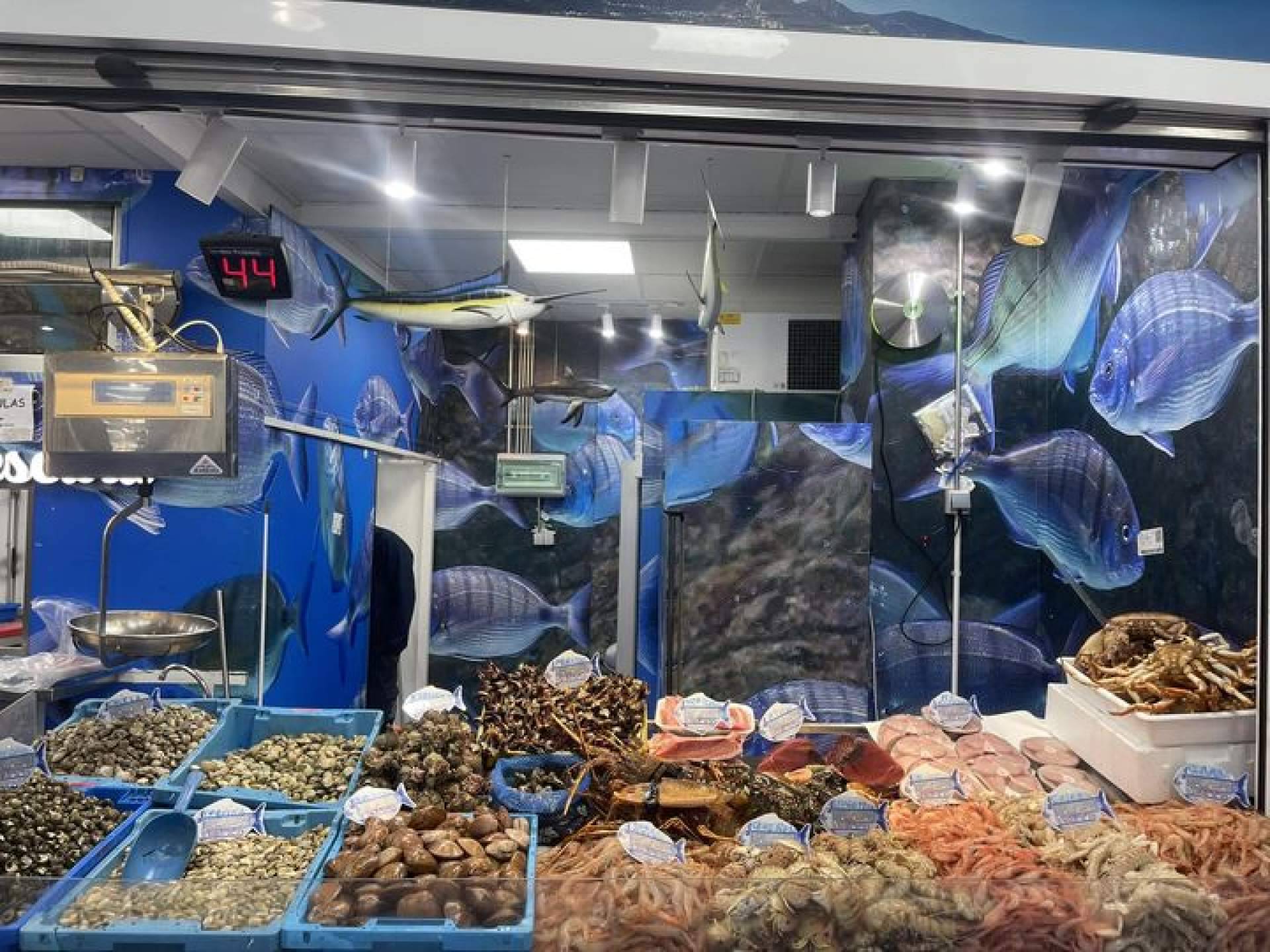 Pescadería Younes refuerza su liderazgo en marisco vivo en Ceuta con vivero propio y género de lonjas seleccionadas