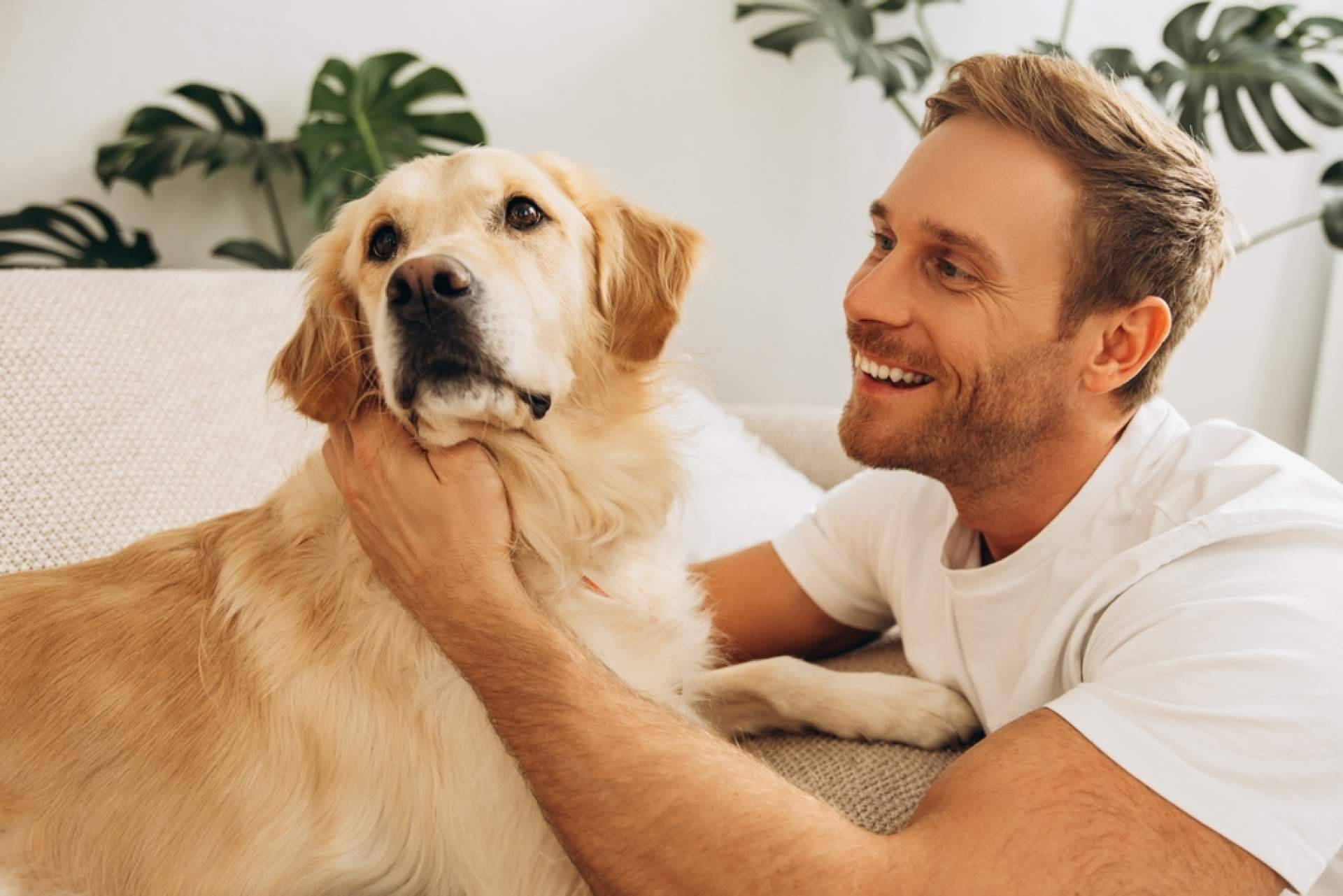 Chubi; tecnología creada junto a asociaciones de bienestar animal para cuidar mejor de quienes no pueden hablar