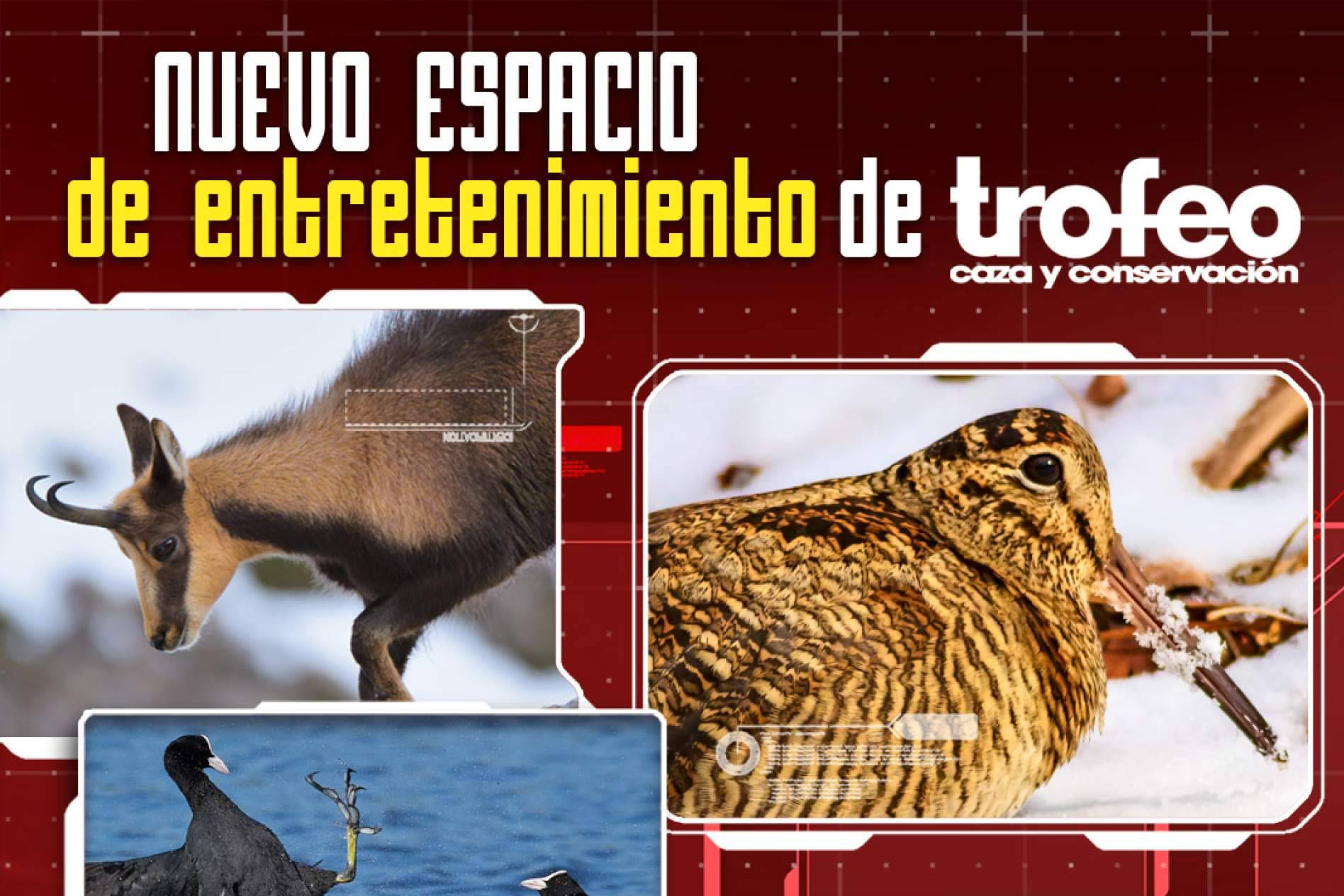 Trofeo Caza refuerza su espacio de entretenimiento cinegético para conectar tradición y público digital