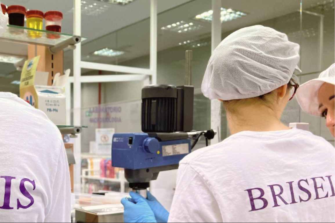 Briseis inicia 2026 con nuevas propuestas y una fuerte apuesta internacional para Tulipán Negro