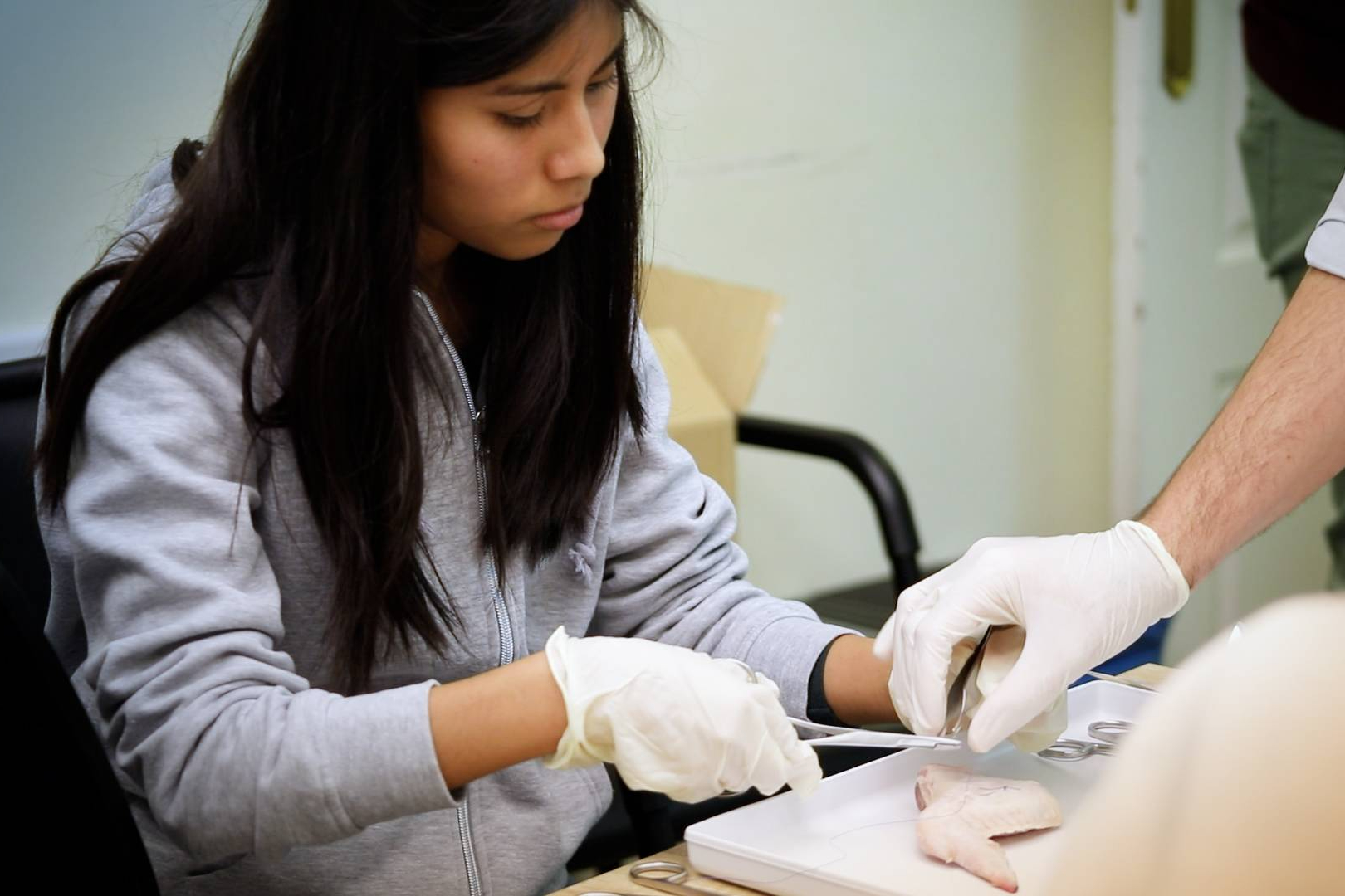 Auxiliar Técnico Veterinario en ISED; 44 años formando profesionales y modalidad presencial, online o Homeclass