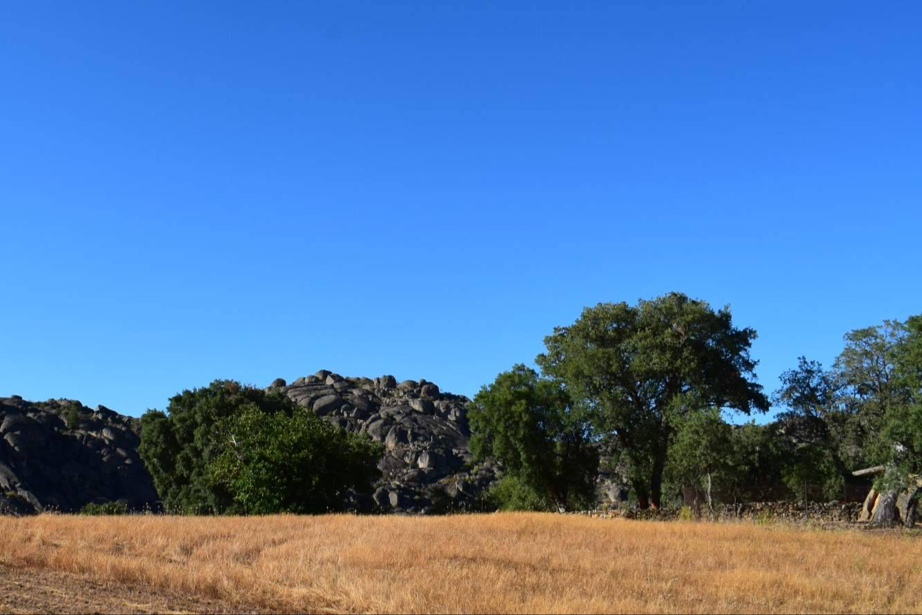 El recorrido de un emprendedor que lee el territorio en la Reserva de la Biosfera Tajo Internacional