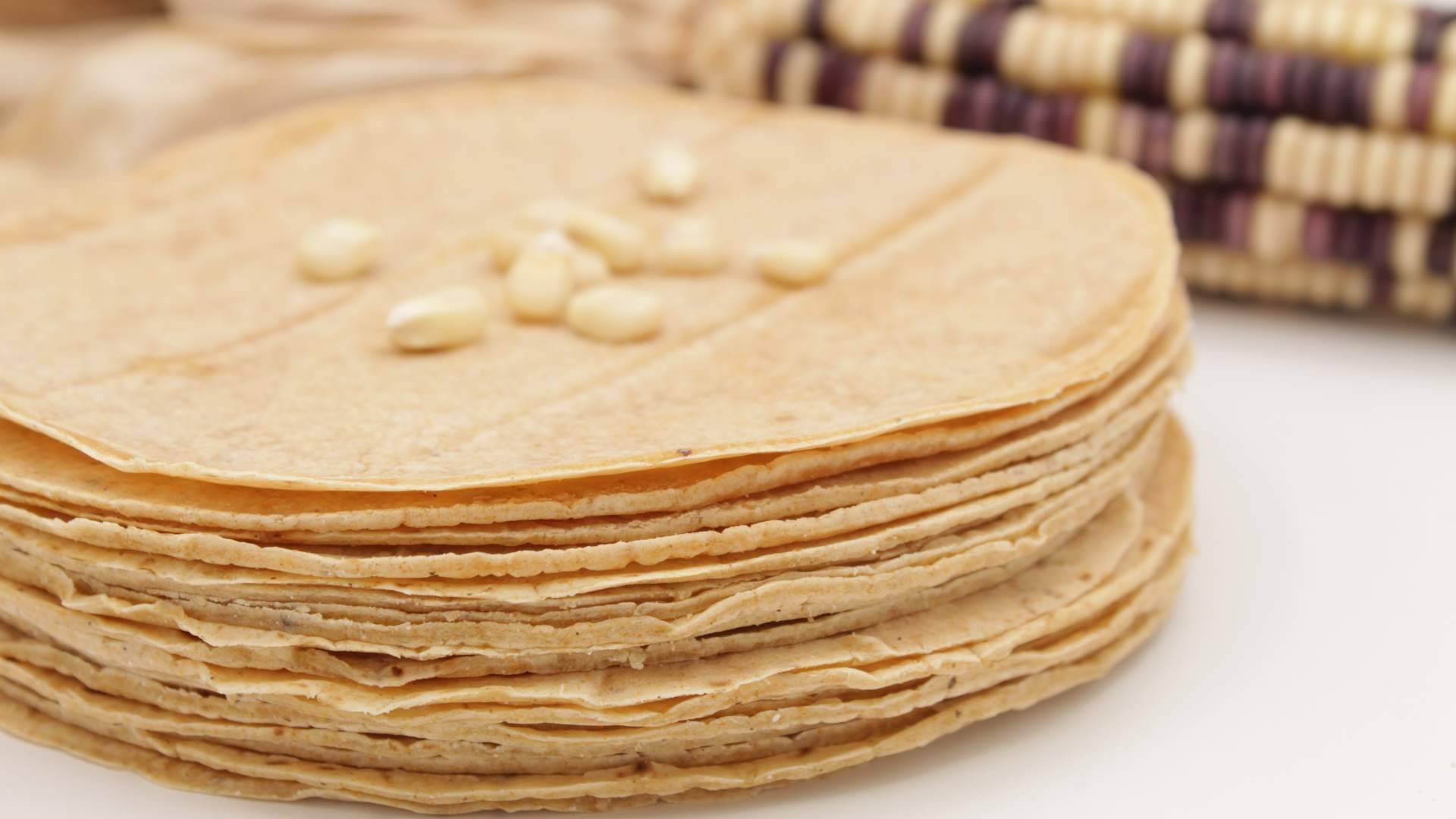 Maíz Maya y la elaboración de tortillas de maíz nixtamalizado en España con esencia tradicional mexicana