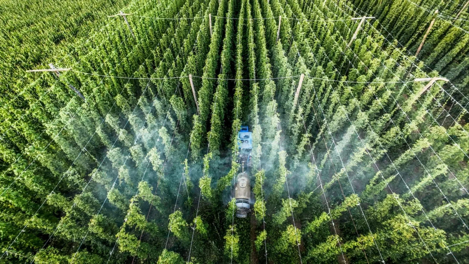 Los sistemas de riego requieren un diseño hidrodinámico adaptado a cada explotación agrícola