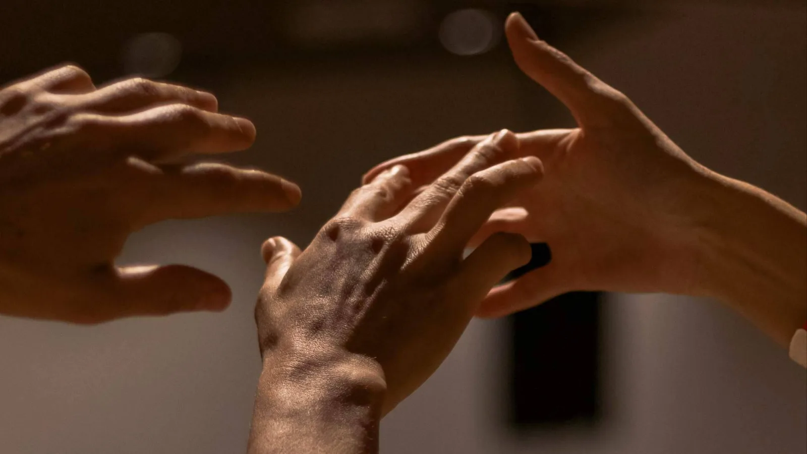 Xavier Serrano Hortelano reflexionará sobre cuerpo, vínculo y comunidad en el XVII Encuentro de Biodanza SRT